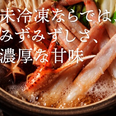 【活】 《訳あり》厳選松葉がに 1杯(600g×1杯)　2025年11月発送 N31_I