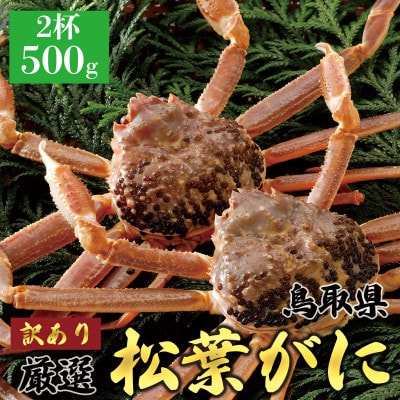 【活】 《訳あり》厳選松葉がに 2杯(500g×2杯)　2025年11月発送 N35_I