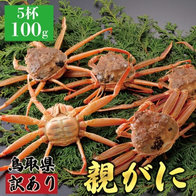【2025年11月発送】鳥取県産 訳あり 親がに 姿【セコガニ】(活)100g 5杯 N49_I
