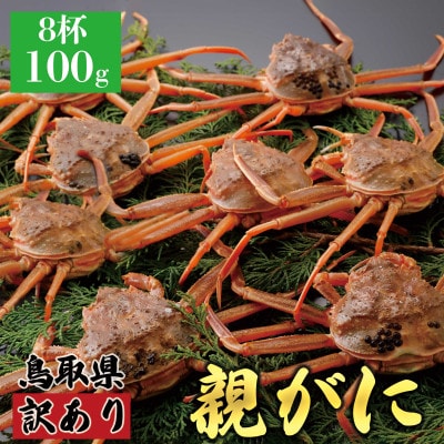 【2025年11月発送】鳥取県産 訳あり 親がに 姿【セコガニ】(活)100g 8杯 N50_I