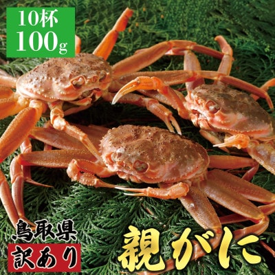 【2025年11月発送】鳥取県産 訳あり 親がに 姿【セコガニ】(活)100g 10杯 N51_I