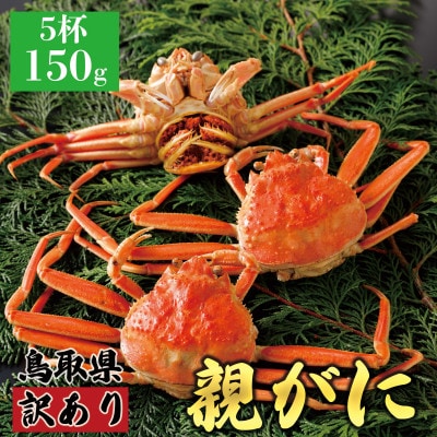 【2025年11月発送】鳥取県産 訳あり 親がに 姿【セコガニ】(茹)150g 5杯 N46_Y