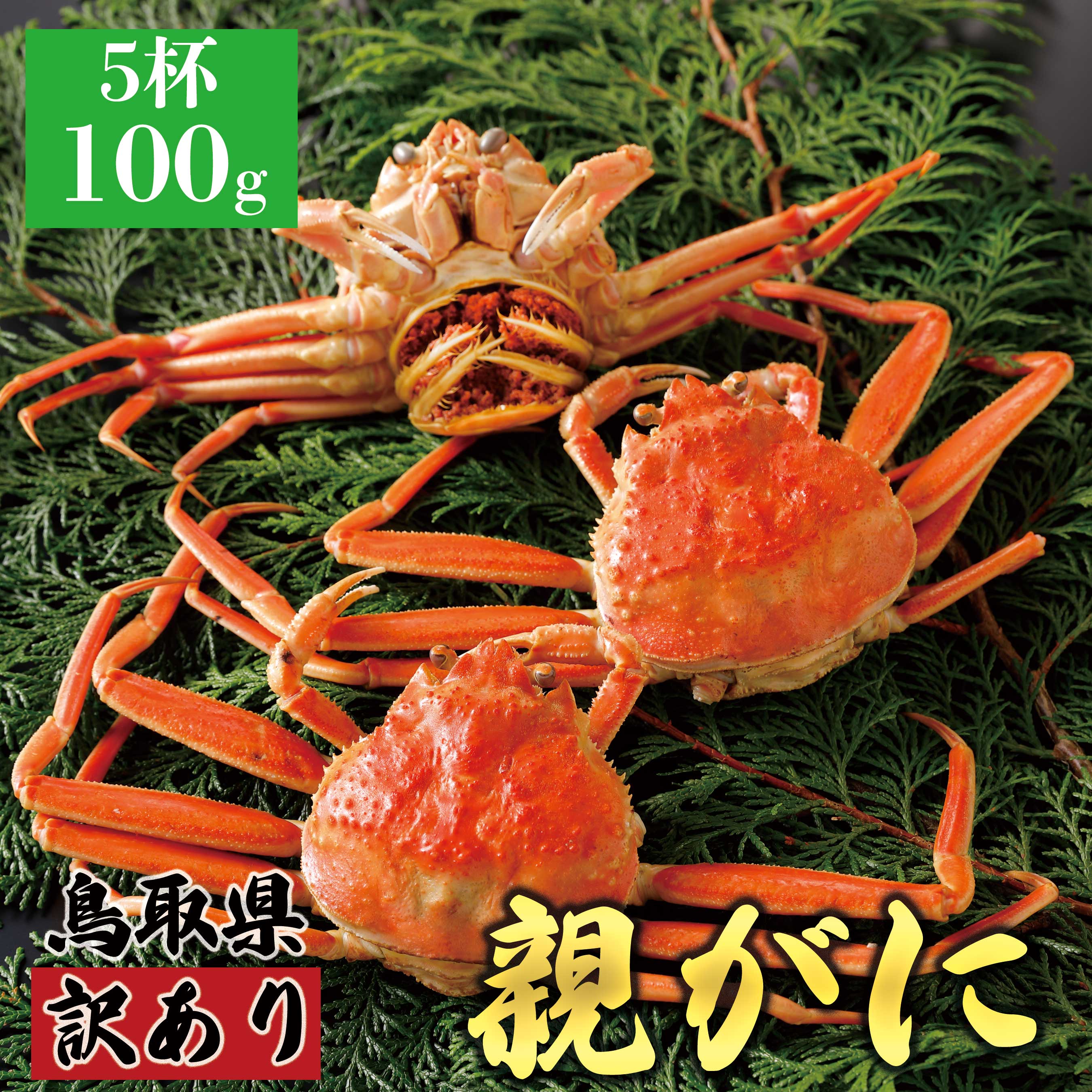 【2025年11月発送】鳥取県産 訳あり 親がに 姿【セコガニ】(茹)100g 5杯 N49_Y