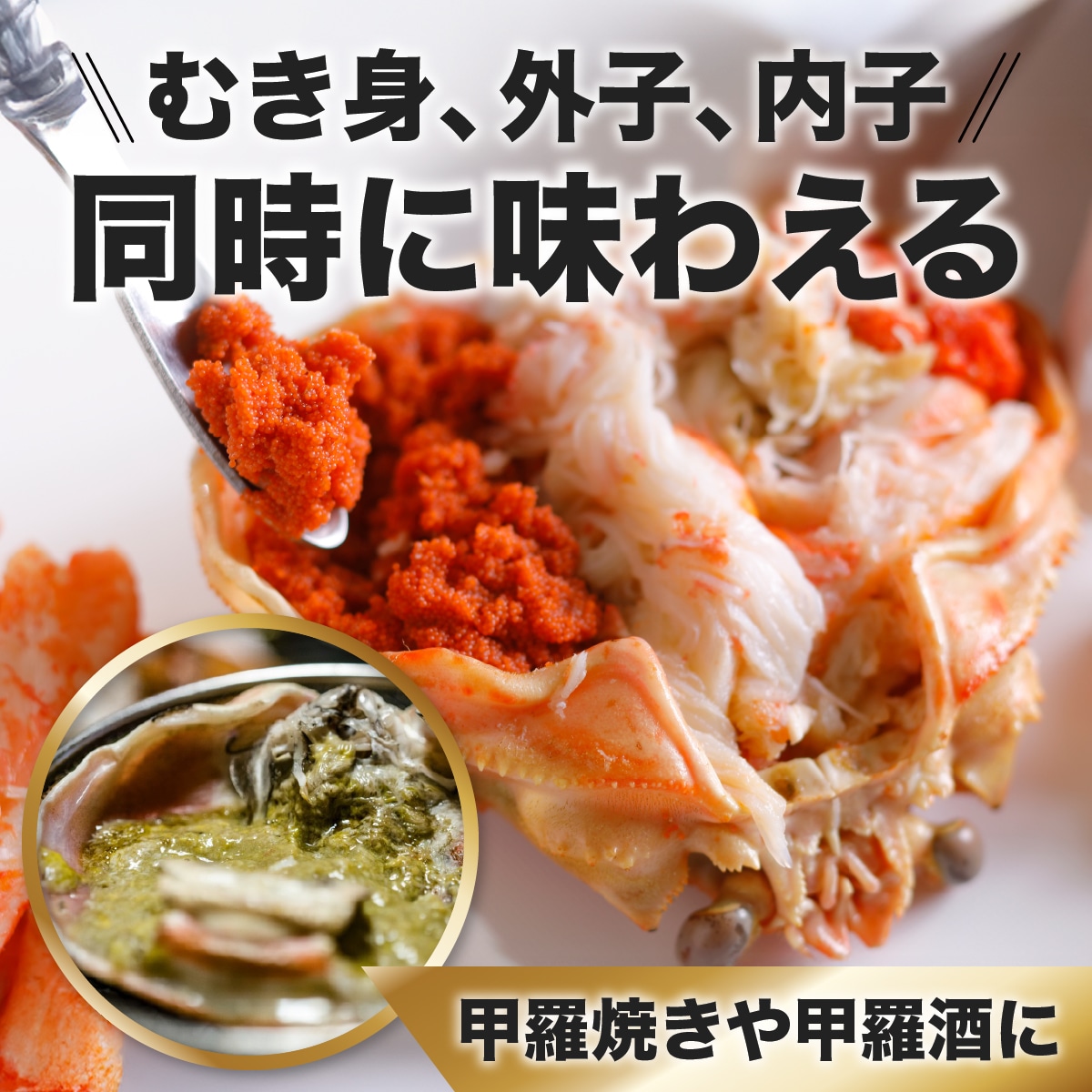 鳥取から直送!セコガニ(親ガニ)の甲羅盛　15個入り