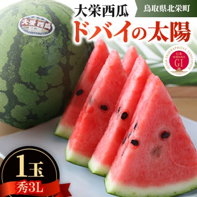 【先行予約】【JA】大栄西瓜『ドバイの太陽』 秀3L×1玉　2026年6月中旬頃～7月中旬頃順次発送 | ふるさと納税のお礼品