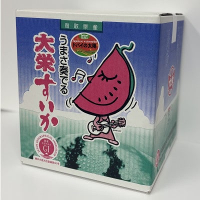 【先行予約】【JA】大栄西瓜『ドバイの太陽』 秀3L×1玉　2026年6月中旬頃～7月中旬頃順次発送