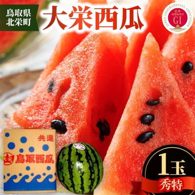 【先行予約】【JA】大栄西瓜 秀特×1玉　2026年6月中旬頃から7月中旬頃に順次発送予定
