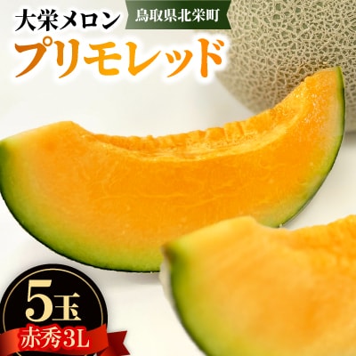 【先行予約】【JA】大栄メロン　プリモレッド(赤肉)赤秀3L×5玉(9月末頃～10月下旬頃順次発送)