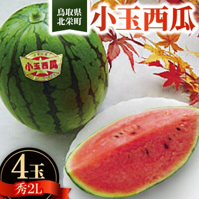 【先行予約】【JA】小玉西瓜  秀2L×4玉　2026年9月初旬頃から9月下旬頃に発送予定