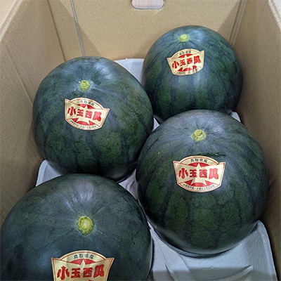【先行予約】【JA】小玉西瓜  秀2L×4玉　2026年9月初旬頃から9月下旬頃に発送予定