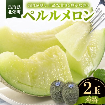 【先行予約】【JA】ペルルメロン 秀特×2玉　2026年6月初旬頃から7月初旬頃に順次発送