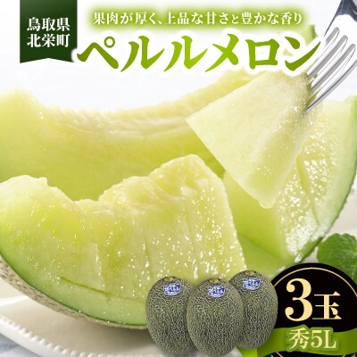 【先行予約】【JA】ペルルメロン　秀5L×3玉　2026年6月初旬頃から7月初旬頃に順次発送