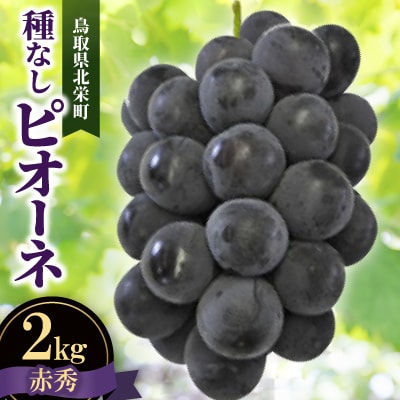 【先行予約】【JA】ピオーネ(種なし)赤秀2kg箱(3~5房入)2026年8月初旬~8月下旬順次発送