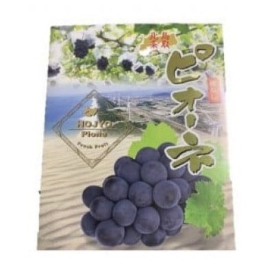 【先行予約】【JA】ピオーネ(種なし)赤秀2kg箱(3~5房入)2026年8月初旬~8月下旬順次発送