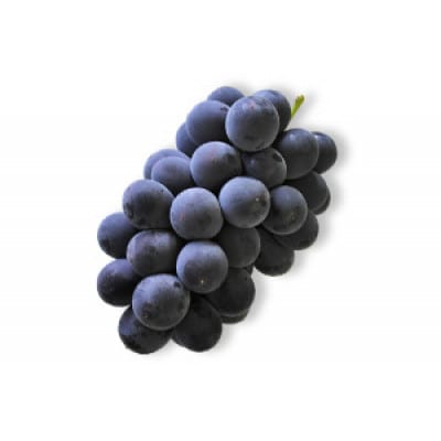 【先行予約】【JA】巨峰(種なし)赤秀2kg箱(3～5房入)2026年8月初旬～8月中旬に順次発送