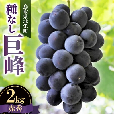 【先行予約】【JA】巨峰(種なし)赤秀2kg箱(3～5房入)2026年8月初旬～8月中旬に順次発送