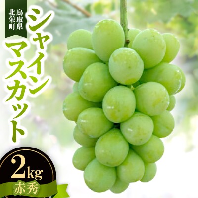 【先行予約】【JA】シャインマスカット赤秀2kg箱(3～5房入)2026年9月初旬～9月中旬順次発送