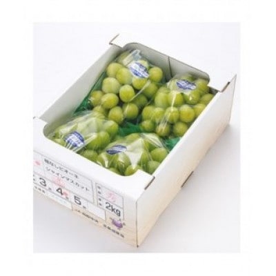 【先行予約】【JA】シャインマスカット赤秀2kg箱(3～5房入)2026年9月初旬～9月中旬順次発送