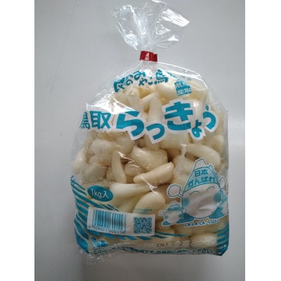 【先行予約】【JA】洗いらっきょう秀M・1kg×5袋　2026年5月中旬頃～6月中旬頃に順次発送予定