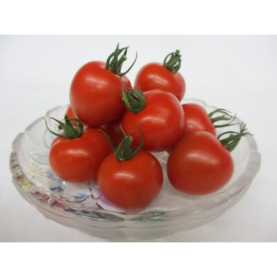 【先行予約】【JA】ナンチューうまいトマト(中玉トマト)A・250g×4袋2026年9月～10月発送