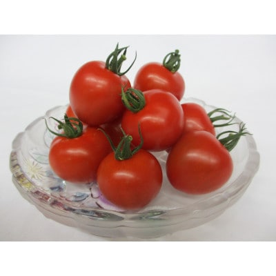 【先行予約】【JA】ナンチューうまいトマト(中玉トマト)A・250g×8袋2026年9月～10月発送