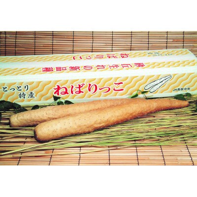 【JA】ねばりっこ　秀3L×2本