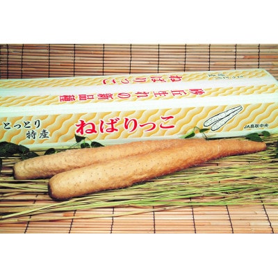 【2026年お歳暮のし付 先行予約】ねばりっこ 秀3L×2本 2026年11月中旬頃より順次発送予定