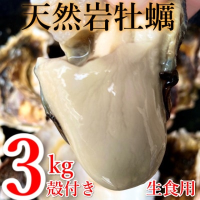 【先行予約】天然岩ガキ 3kg(殻付き) ※6月～8月上旬頃に順次発送予定