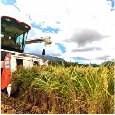 令和7年産　原田農園きぬむすめ精米 10kg