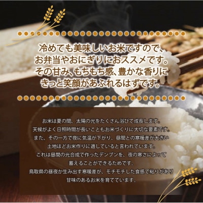 令和7年産　原田農園きぬむすめ精米 5kg