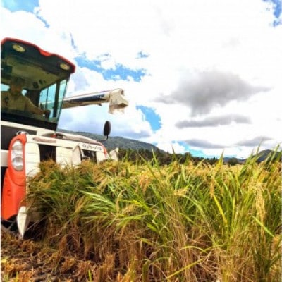令和7年産　原田農園きぬむすめ精米 5kg