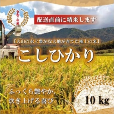 令和7年産　山崎農園こしひかり精米　10kg