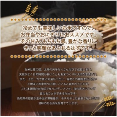 令和7年産　山崎農園こしひかり精米　10kg