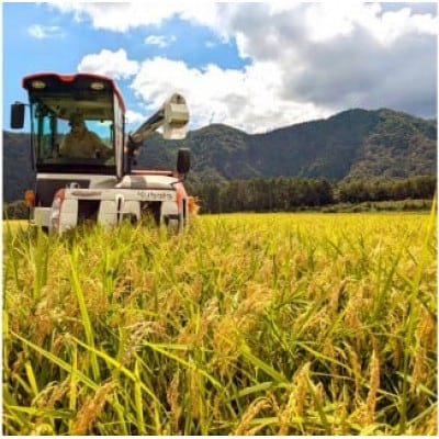 令和7年産　山崎農園こしひかり精米　10kg