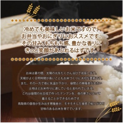 令和7年産　山崎農園こしひかり精米　5kg