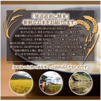 令和7年産　山崎農園こしひかり精米　5kg