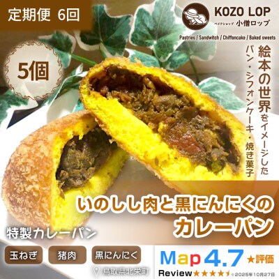 【毎月定期便】【鳥取県産 ジビエ惣菜パン】いのしし肉と黒にんにくのカレーパン 5個全6回