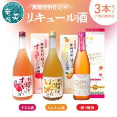 『全国でも珍しい黒糖焼酎仕込みのリキュール酒』梅酒・すもも酒・たんかん酒 720ml瓶の3本セット | ふるさと納税のお礼品