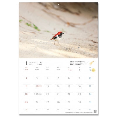 奄美カレンダー2026年 壁掛けタイプ