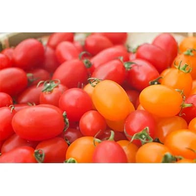 あまみ産おやつトマト「野生の証明」約400g×2パック