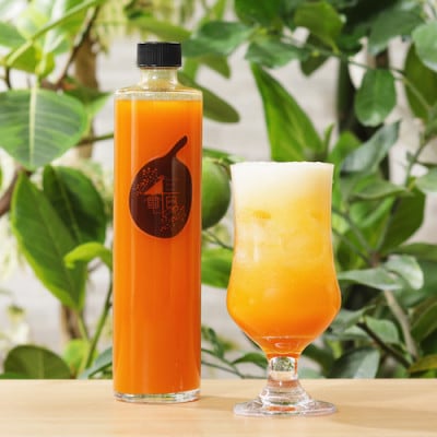 農家自家製パッションフルーツジュース(希釈タイプ)500ml×2本