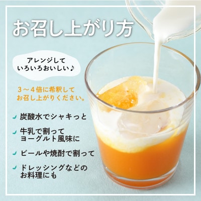 農家自家製パッションフルーツジュース(希釈タイプ)　2本入り