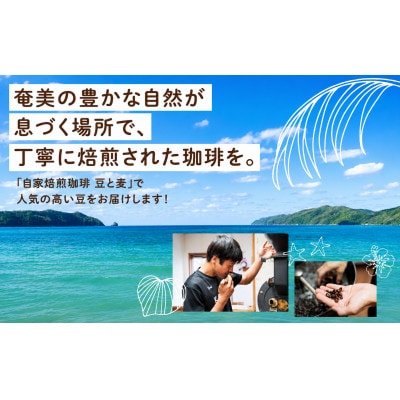 【自家焙煎】豆と麦 ブレンドNo.2(粉) 計600g(200g×3袋)