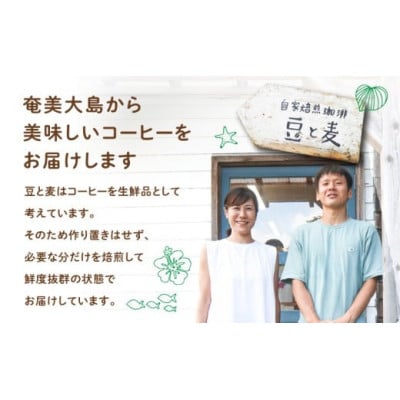 【自家焙煎】豆と麦 ブレンドNo.2(粉) 計600g(200g×3袋)