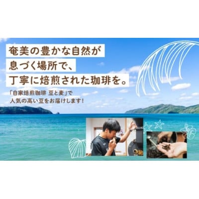 【自家焙煎】豆と麦 ブレンドNo.2(豆) 計600g(200g×3袋)