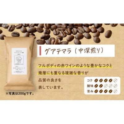 【自家焙煎】豆と麦 グアテマラ(豆) 計600g(200g×3袋)