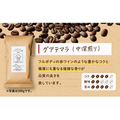 【自家焙煎】豆と麦 グアテマラ(豆) 計600g(200g×3袋)
