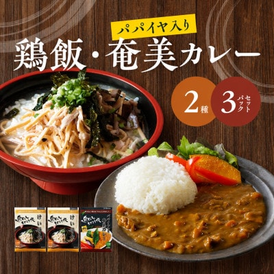 鶏飯・パパイヤ入り奄美カレー3袋セット