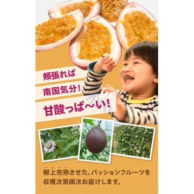 栽培期間中農薬・化学肥料不使用　奄美パッションフルーツ　家庭用3kg(35個～40個前後)