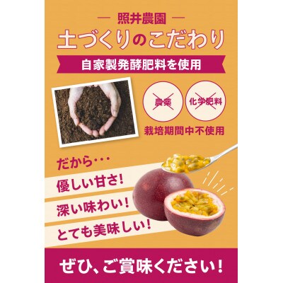 栽培期間中農薬・化学肥料不使用　奄美パッションフルーツ　家庭用3kg(35個～40個前後)